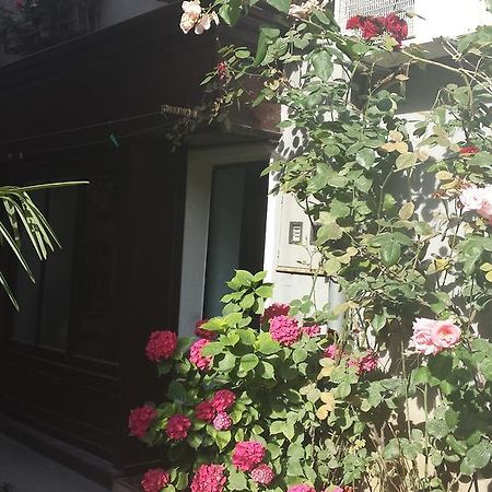 Apartment Saric ロヴラン エクステリア 写真